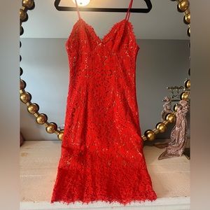 Orange Bardot Sienna Lace cocktail dress